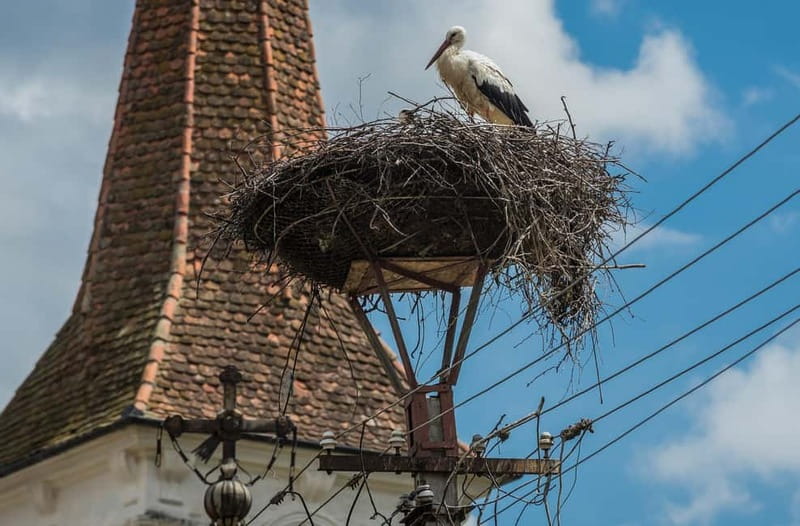 Tour of Sibiu - Church in Cristian - Village of Sibiel - What the 11-hour schedule feels like