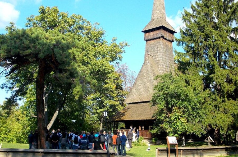 Traditions in Bucharest: Village Museum and Wine Tasting - Useful planning details before you book