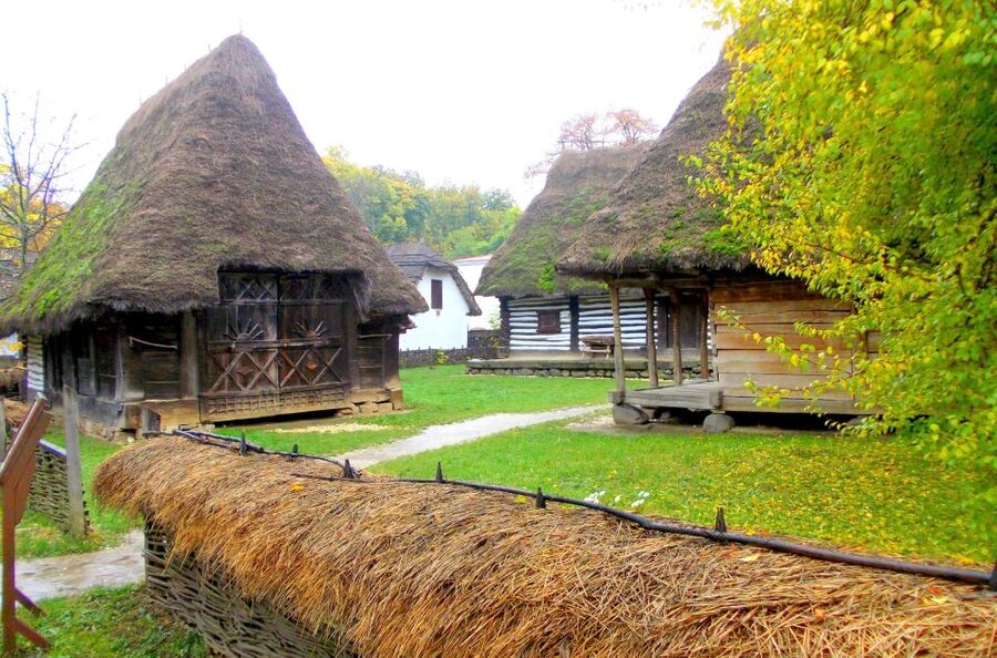 Traditions in Bucharest: Village Museum and Wine Tasting - Entering Romania’s village at the 1.5-hour museum visit