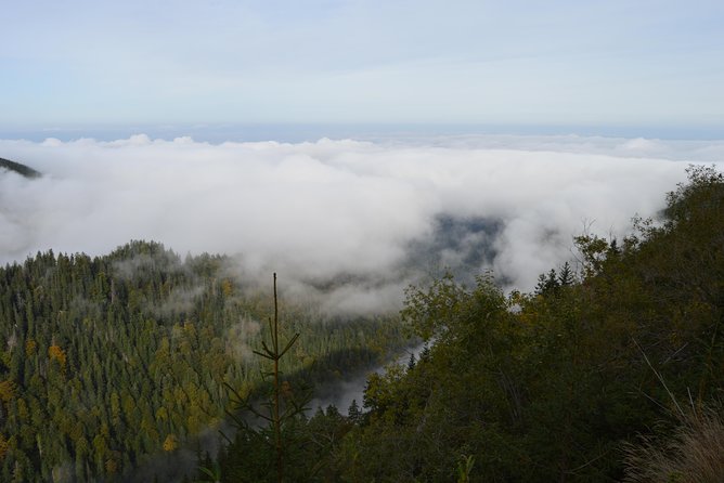 Transfagarasan, Vidraru and Poenari Fortress Tour from Sibiu - Vidraru Dam, a man-made landmark