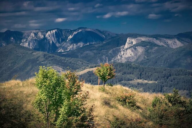 Transfer Bucharest -Brasov with Targoviste and Bran Castle visits - What the $190.81 Price Really Covers