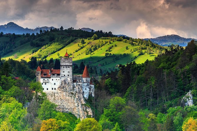 Transylvania and Dracula Castle Full Day Tour from Bucharest - Guides, vehicles, and the human side of the day