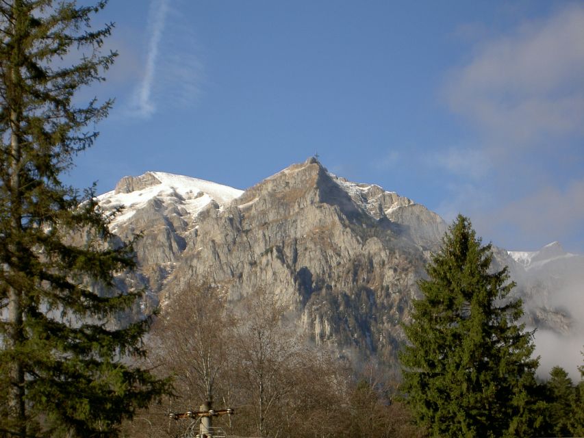 Transylvania: Cultural Full-Day Trip by Minivan - Peles Castle and royal Sinaia