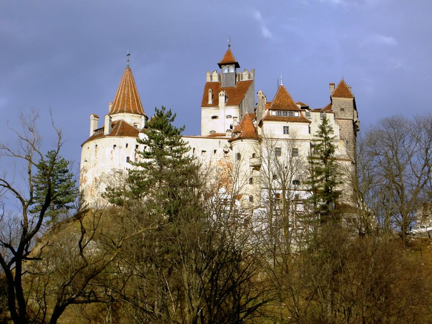 Transylvania: Cultural Full-Day Trip by Minivan - Bran Castle and the Dracula question