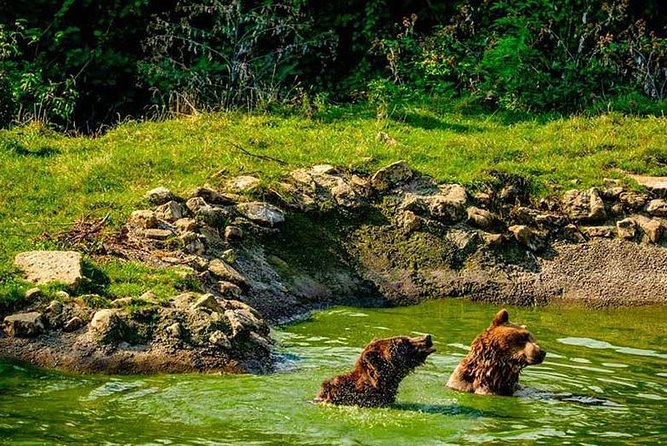 Transylvania with Dracula Castle, Bear Sanctuary and Brasov - Brasov and the short medieval walk