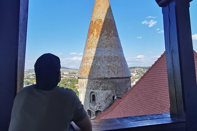 Turda Salt Mine, Corvin Castle and Alba Fortress from Cluj - FAQ