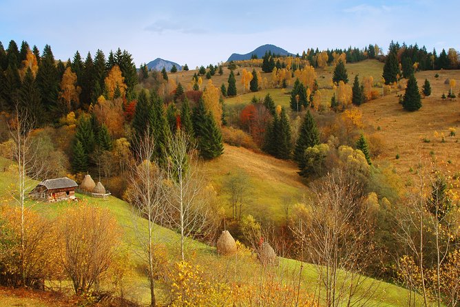 Two days tour to Bucovina & UNESCO Painted Monasteries - Meals and local food are useful, but limited