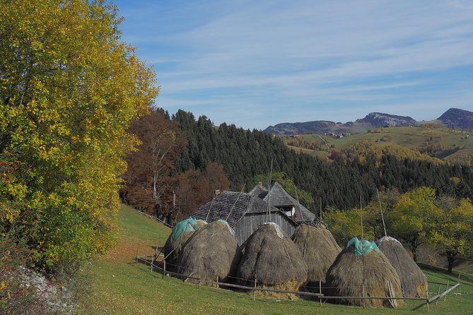 Village life in Transylvanian Carpathian mountains - 8 days - Day 4: Six villages from Magura to Fundata