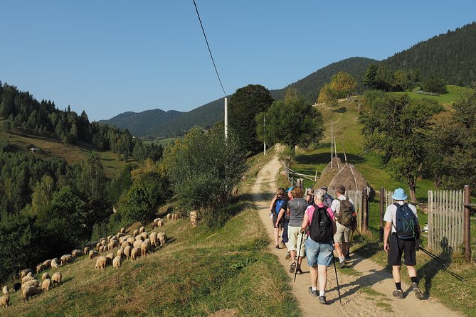 Village life in Transylvanian Carpathian mountains - 8 days - Day 6: Bucegi’s quieter northern side