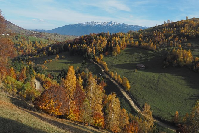 Village life in Transylvanian Carpathian mountains - 8 days - Day 7: Seven Ladders Canyon and a final night in Brasov