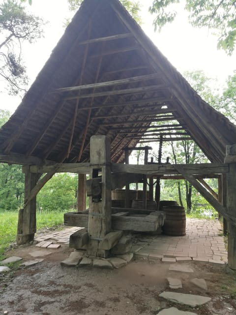 Village Museum Bucharest Guided Tour - The Dimitrie Gusti Village Museum: Romania in one park