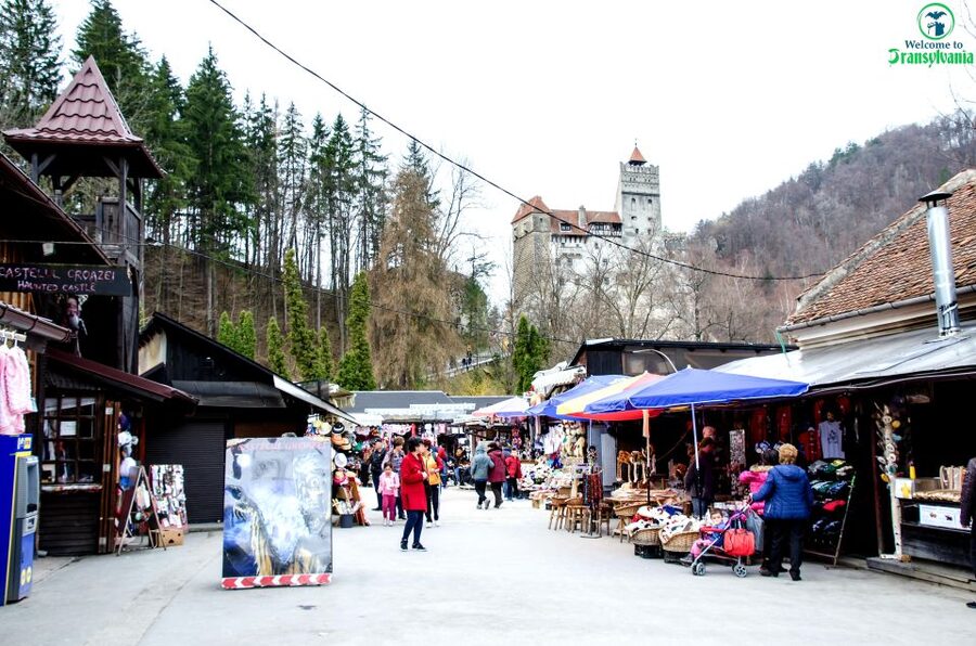 Visit Bear Sanctuary and Bran Castle from Brasov - Key points at a glance