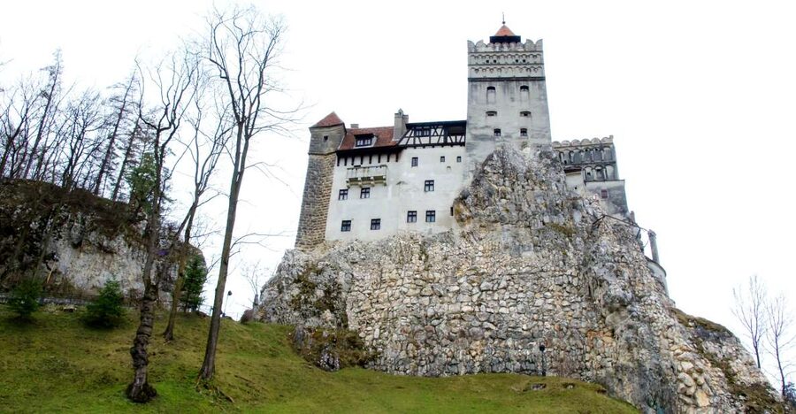 Visit Bear Sanctuary and Bran Castle from Brasov - Why combine the bear sanctuary with Bran Castle?