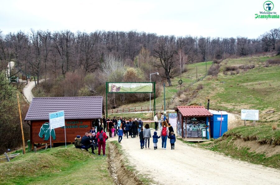 Visit Bear Sanctuary and Bran Castle from Brasov - The drive from Brasov and the pickup points