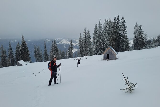 Vladeasa Peak and Bride's Waterfall Day Hike - Who should book this day hike?