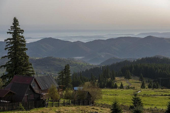 Vladeasa Peak and Bride's Waterfall Day Hike - Rogojel Village and the rare sequoia