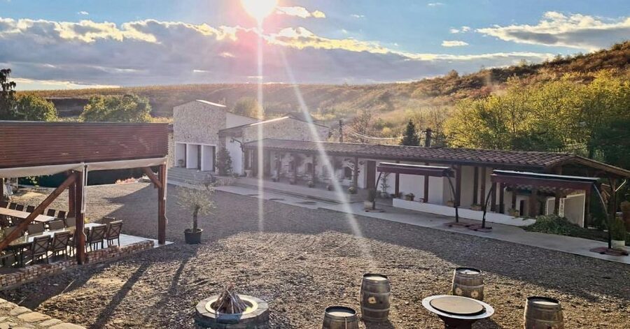 Winery touring & private wine tasting - one day private tour - Bucharest to the Dealu Mare wine road