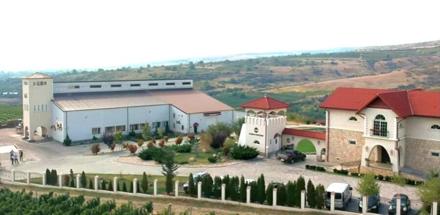 Winery touring & private wine tasting - one day private tour - Lunch at a vineyard manor